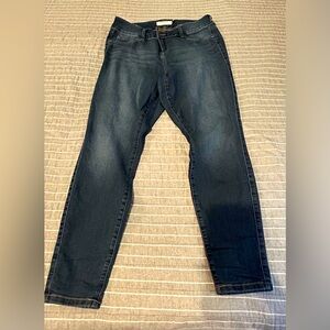 Torrid Denim Dark Wash Skinny Jeggings